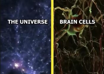 Váš mozek je přijímač – ne pevný disk