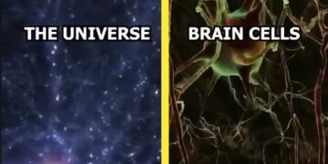 Váš mozek je přijímač – ne pevný disk